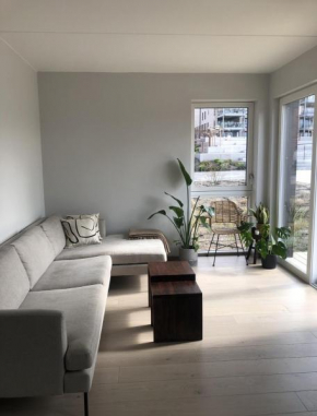 Cozy apartment in Lørenskog